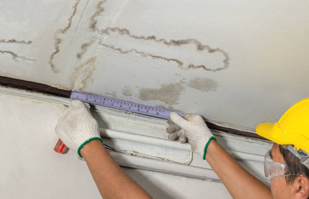 Reliable Sewage Cleanup contractor in Lenexa, KS by Water Damage Irwin